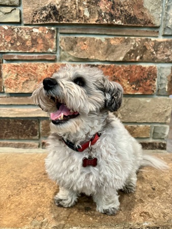 Oliver