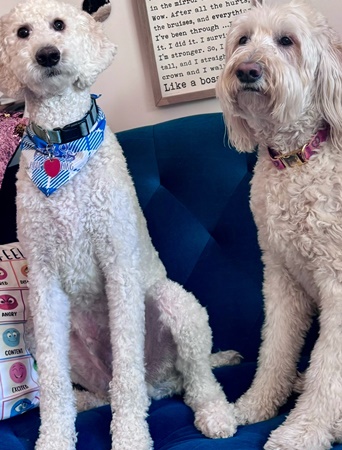 Cooper and Frida